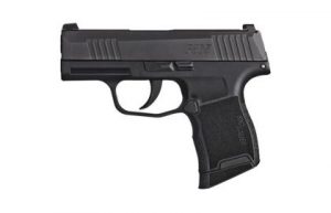 Sig Sauer P365 9mm 10rd